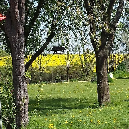 לינה וארוחת בוקר Teichwiesenhof