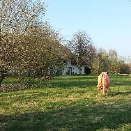 فندق مبيت وإفطار Teichwiesenhof أولدنبورغ إن هولشتاين