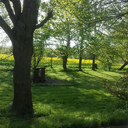 Bed & Breakfast Teichwiesenhof